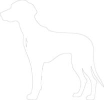 Weimaraner schema silhouette vettore