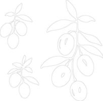 kumquat schema silhouette vettore