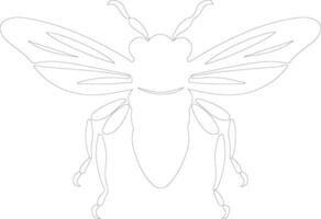 cicala schema silhouette vettore