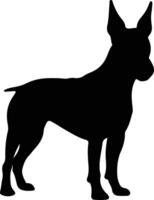 miniatura Toro terrier nero silhouette vettore