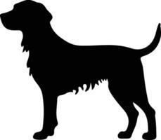 piccolo Münsterlander pointer nero silhouette vettore