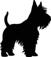 Scozzese terrier nero silhouette vettore