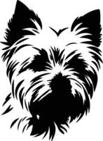 norwich terrier silhouette ritratto vettore