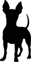 miniatura pinscher nero silhouette vettore