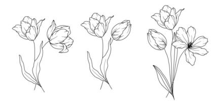 tulipani linea disegno. nero e bianca floreale mazzi di fiori. fiore colorazione pagina. floreale linea arte. bene linea tulipani illustrazione. mano disegnato fiori. botanico colorazione. nozze invito fiori vettore