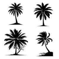 Noce di cocco albero silhouette vettore illustrazione