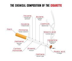 infografica di il pericoli di fumare. il composizione di sigarette e tabacco Fumo. vettore