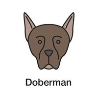 icona del colore doberman pinscher. razza di cane da guardia. illustrazione vettoriale isolato