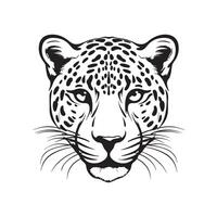 leopardo testa vettore immagini