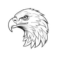 aquila testa vettore immagini, illustrazione, disegno, arte, logo