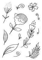 una raccolta di immagini di fiori disegnati a mano come campanule, crisantemi, girasoli, fiori di cotone e foglie tropicali vettore