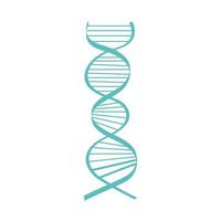 struttura della molecola del DNA vettore
