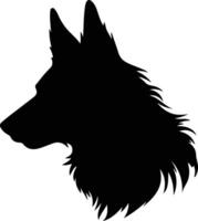 belga tervuren silhouette ritratto vettore