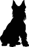 Scozzese terrier nero silhouette vettore