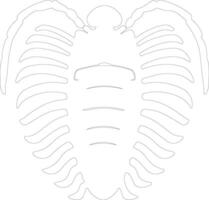 trilobite schema silhouette vettore