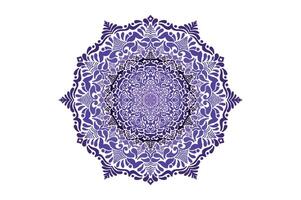 colorato mandala ornamento vettore