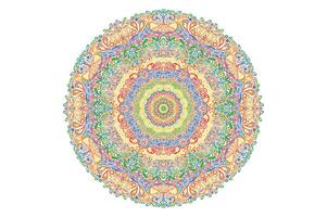 colorato mandala ornamento vettore