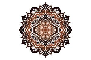 colorato mandala ornamento vettore