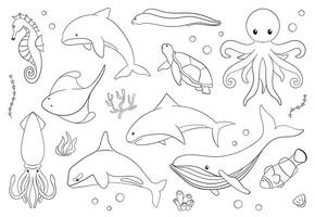 sottomarino animali impostato nel linea arte, piatto stile. polpo, corallo clown pesce, delfino, uccisore, balena, muraena, Moray, cavalluccio marino, calamaro, razza, tartaruga. vettore illustrazione isolato su un' bianca sfondo.