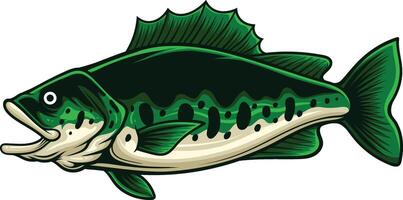 vettore illustrazione di largemouth basso pesce