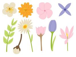 un' impostato di primavera elementi come come cosmo, margherita, croco, Mela fiore, frangipane, tulipano, e altri nel un' minimo forma floreale concetto, vettore
