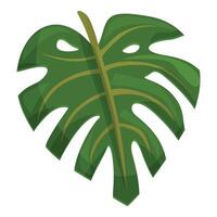 naturale foglia pianta icona cartone animato vettore. Monstera palma vettore