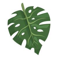 verde Monstera icona cartone animato vettore. palma albero vettore