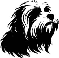 cotondetulear silhouette ritratto vettore