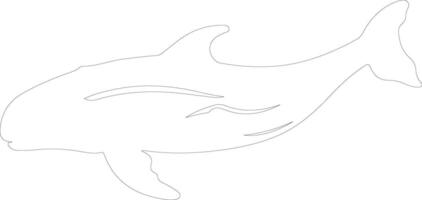 balena della prua schema silhouette vettore