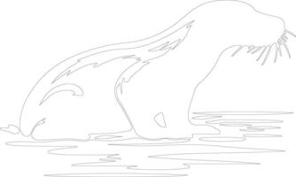 a becco d'anatra ornitorinco schema silhouette vettore