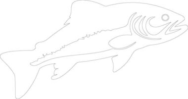 salmone schema silhouette vettore