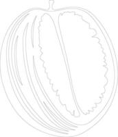 Cantalupo schema silhouette vettore