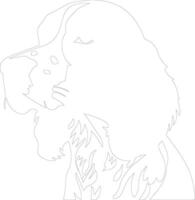 gallese springer spaniel schema silhouette vettore