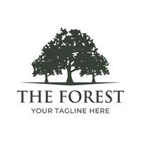 albero logo design. pino foresta logo vettore illustrazione