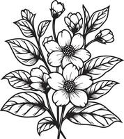 linea arte semplice gelsomino fiore disegno, realistico gelsomino fiore matita disegno, arabo gelsomino gelsomino fiore tatuaggio, minimalista schema gelsomino fiore tatuaggio nero e bianca vettore