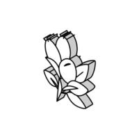 rosa canina aromaterapia isometrico icona vettore illustrazione