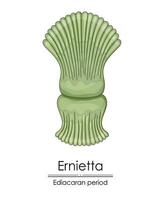 Ernietta, un ediacaran periodo creatura vettore