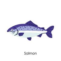salmone commestibile sale acqua pesce elemento vettore