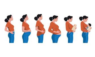 gravidanza fasi. sequenza temporale di gravidanza donna a partire dal embrione per neonato bambino, cartone animato prenatale bambino sviluppo concetto. vettore Infografica