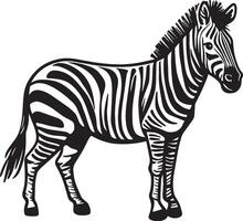 zebra schizzi disegno. vettore