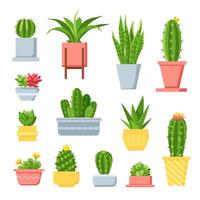 cactus e succulente. carino cartone animato cactus nel pentole. messicano esotico casa pianta con spine e fiori. decorativo giardino succulento vettore impostato