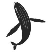 mano disegnato blu balena vettore illustrazione