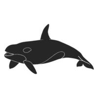 mano disegnato uccisore balena orca vettore illustrazione