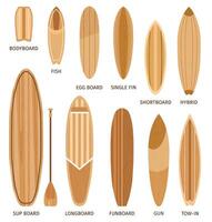di legno tavola da surf dimensioni e tipi, bodyboard, longboard e shortboard. cartone animato Surf tavole forme disegno, funboard e ibrido vettore impostato