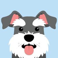 carino miniatura schnauzer cane piatto disegno, vettore illustrazione