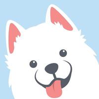 carino Samoiedo cane viso, vettore illustrazione