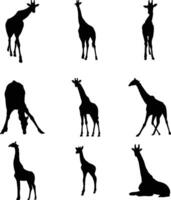 giraffa silhouette impostato vettore illustrazione