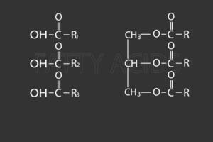 Grasso acidi molecolare scheletrico chimico formula vettore