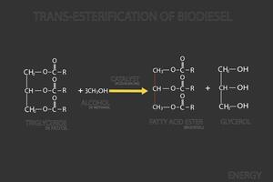 transesterificazione di biodiesel molecolare scheletrico chimico formula vettore