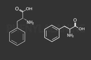 fenilalanina molecolare scheletrico chimico formula vettore